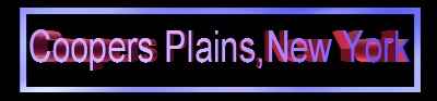 name Coopers Plaines New York